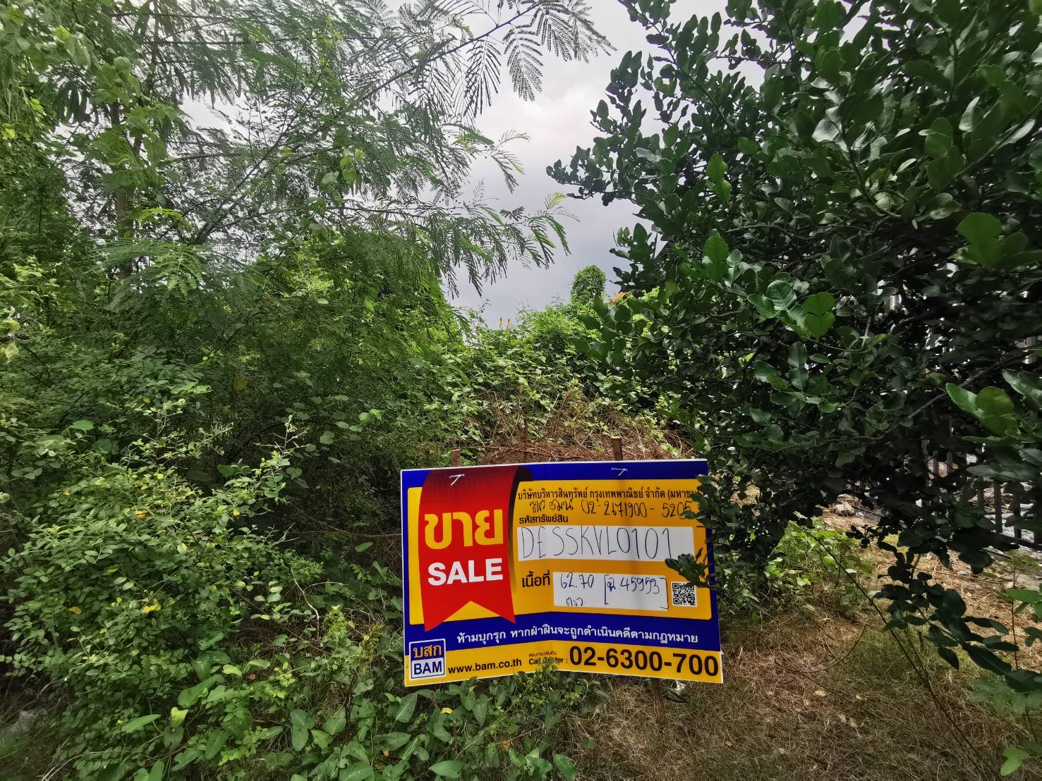 Empty land, flat area, Samutsakorn province.