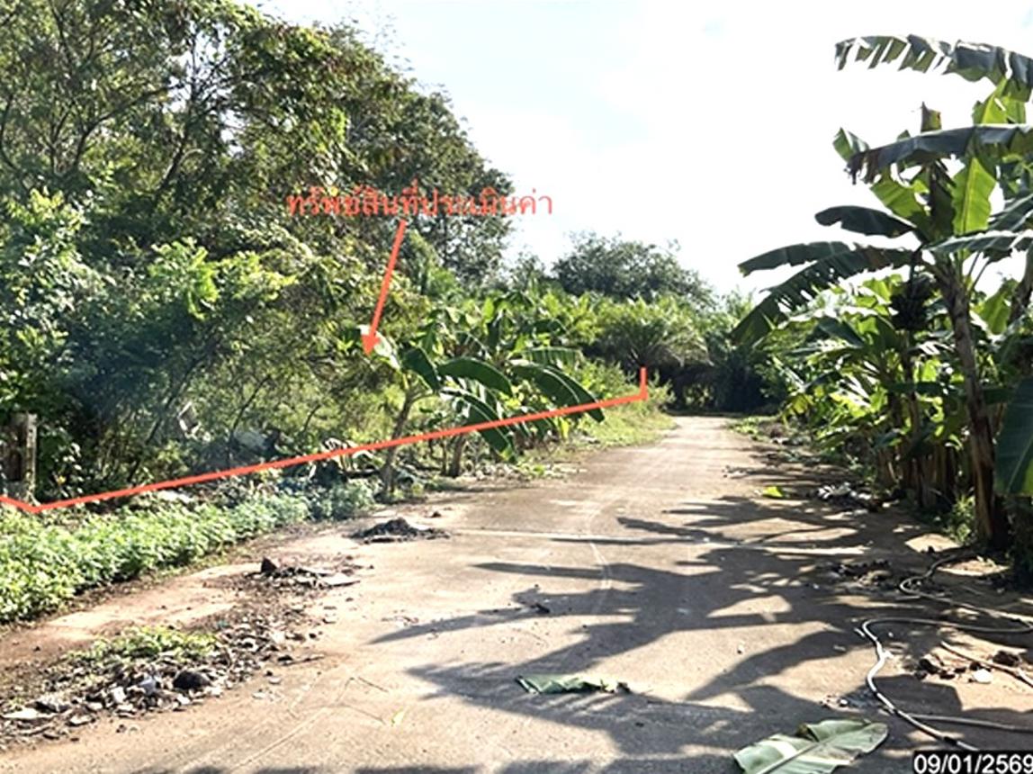 Empty land for sale in Bang Khan, Nakhon Si Thammarat province.