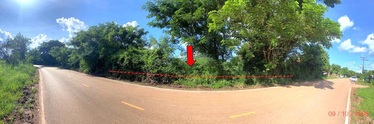 ที่ดินว่างเปล่า สระใคร หนองคาย