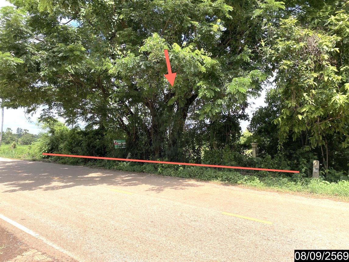 ที่ดินว่างเปล่า สระใคร หนองคาย