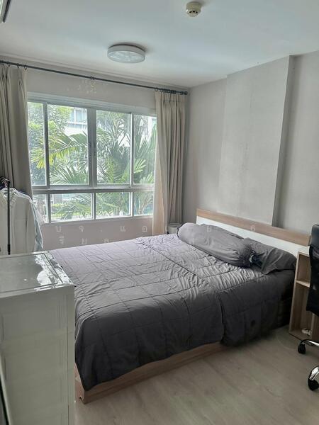 Elio Del Ray, Bangkok