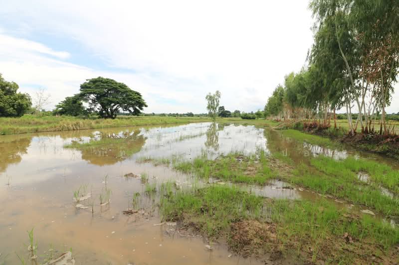 5+ Rai Of Opportunity Land For Sale, Ban Tat, Udon Thani, Udon Thani