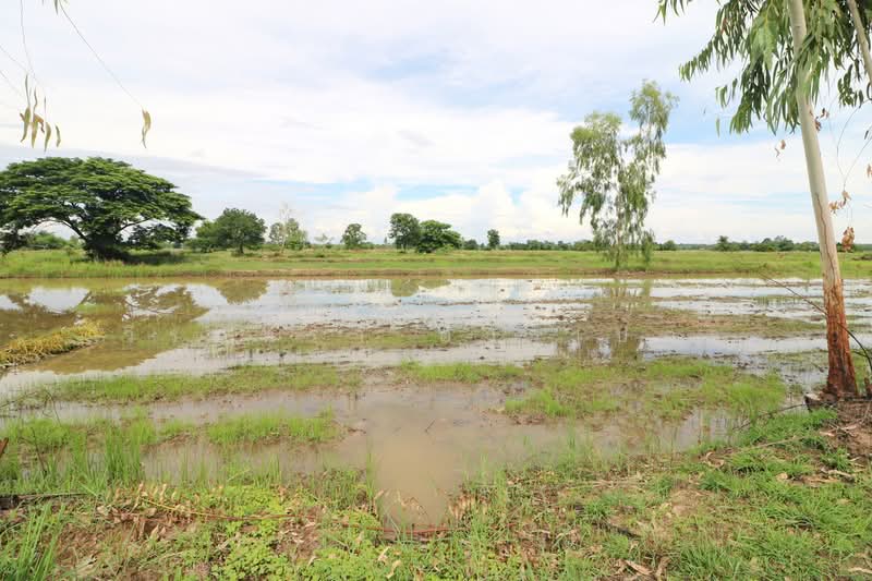 5+ Rai Of Opportunity Land For Sale, Ban Tat, Udon Thani, Udon Thani