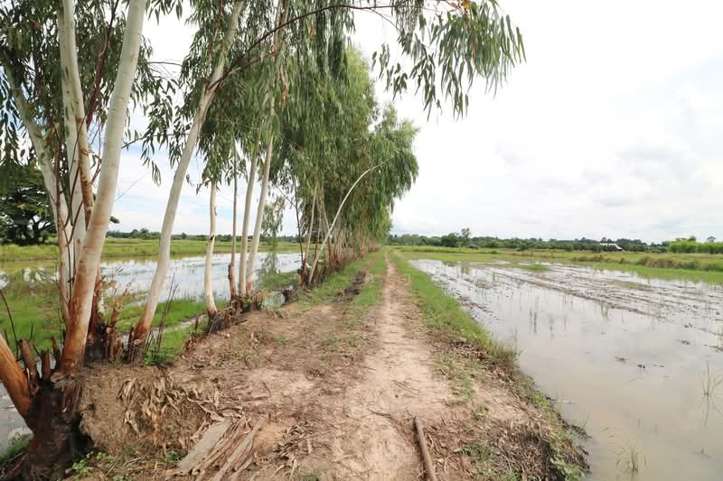 5+ Rai Of Opportunity Land For Sale, Ban Tat, Udon Thani, Udon Thani