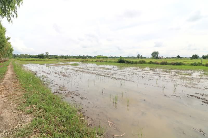 5+ Rai Of Opportunity Land For Sale, Ban Tat, Udon Thani, Udon Thani