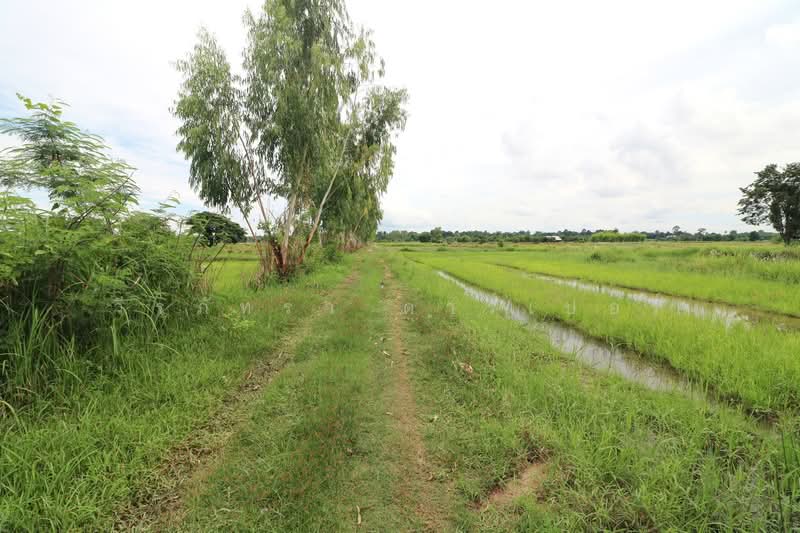 5+ Rai Of Opportunity Land For Sale, Ban Tat, Udon Thani, Udon Thani