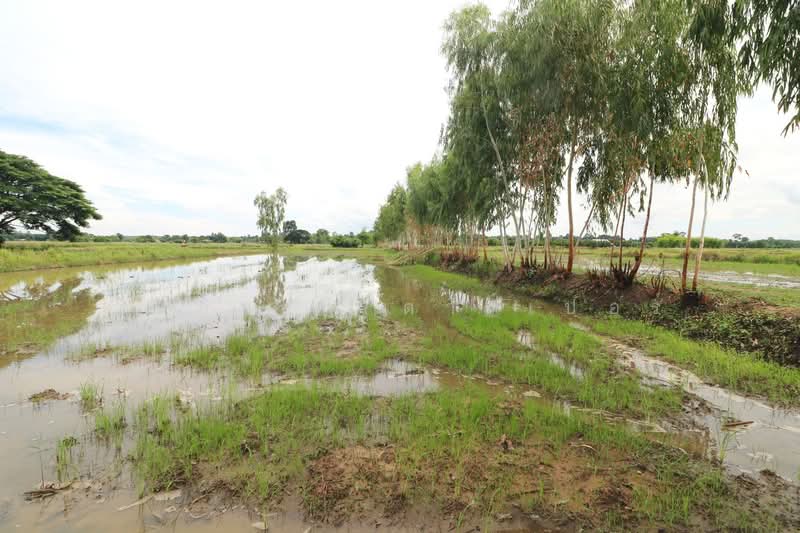 5+ Rai Of Opportunity Land For Sale, Ban Tat, Udon Thani, Udon Thani