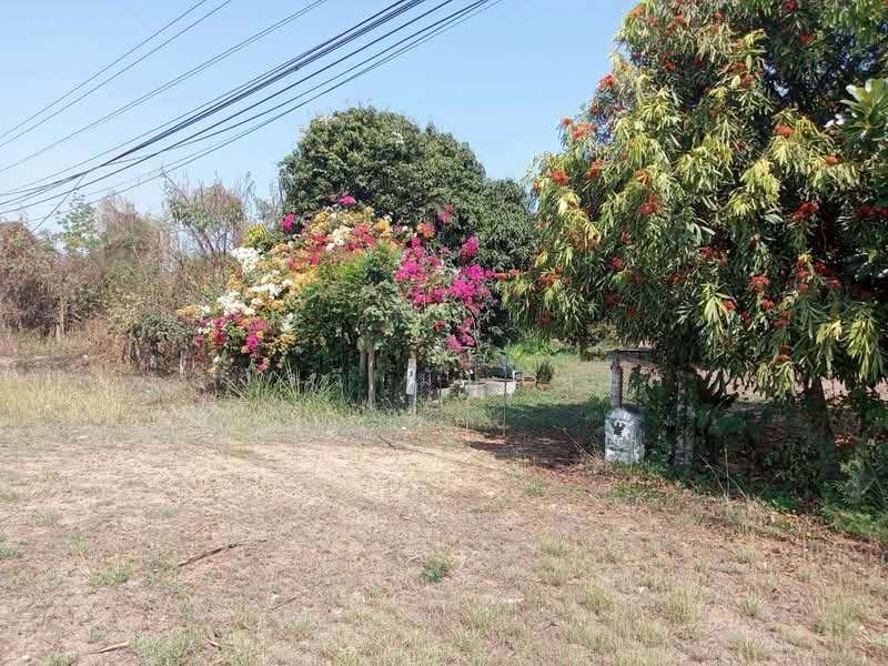 อ่างหิน, Ratchaburi