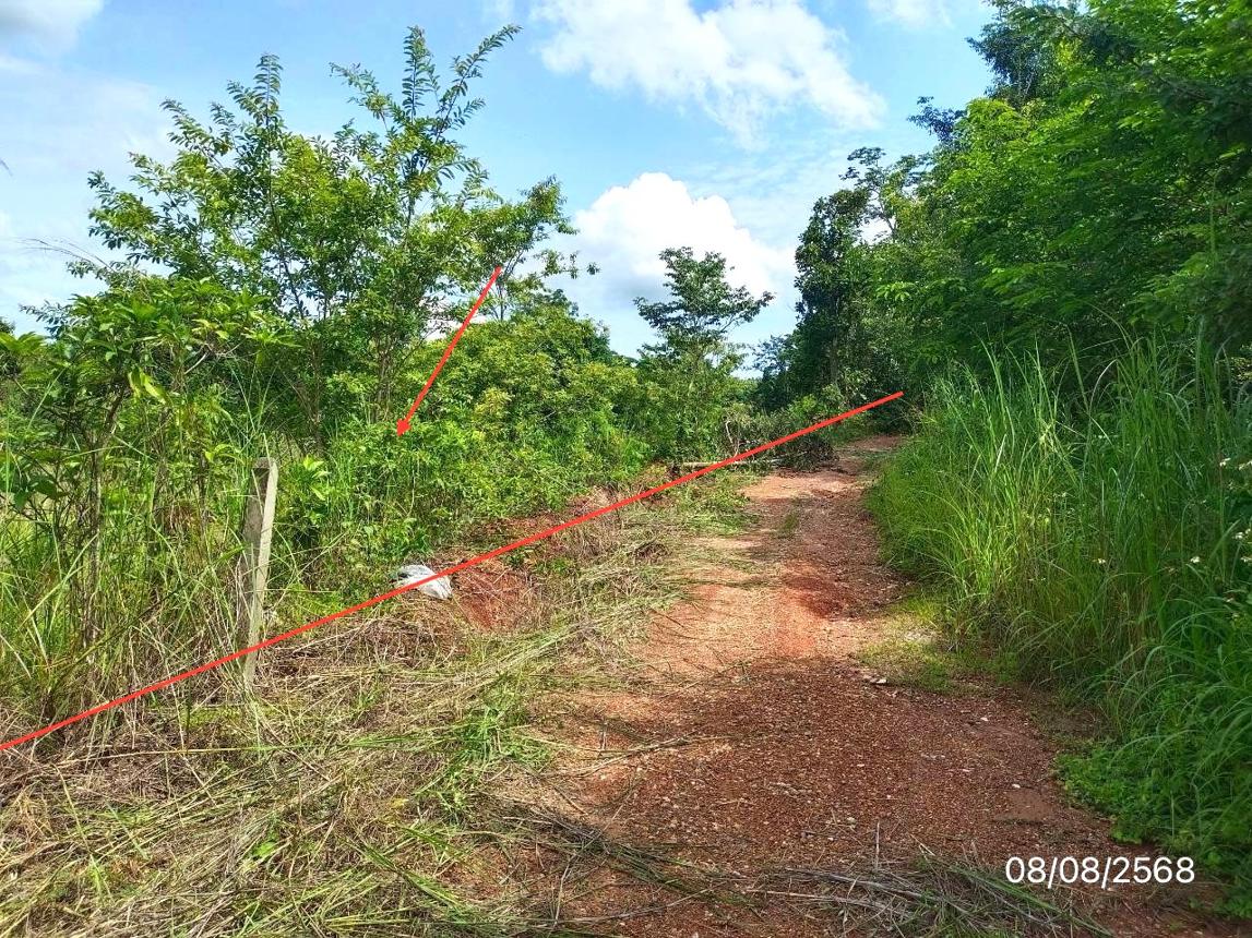 Vacant Land in Phu Sang, Phayao