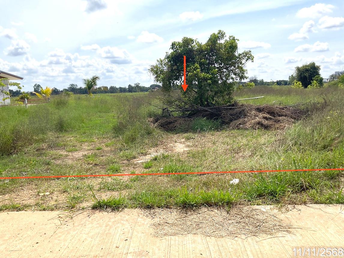 Vacant land for sale in Maha Sarakham, Maha Sarakham Province.
