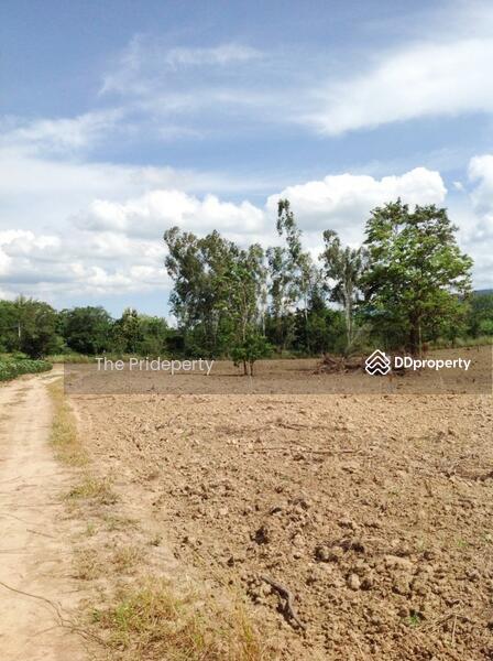 ที่ดิน 25-1-52 ไร่ โป่งตาลอง ปากช่อง, Nakhon Ratchasima