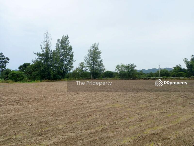 ที่ดิน 25-1-52 ไร่ โป่งตาลอง ปากช่อง, Nakhon Ratchasima