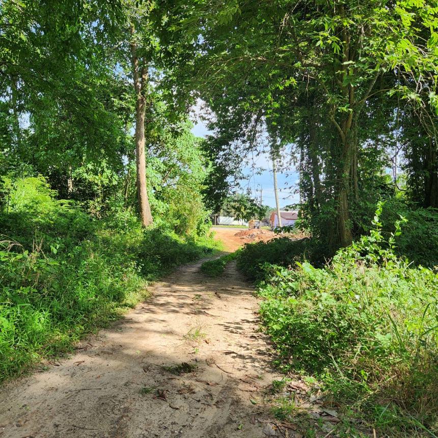 Vacant Land, Khanom, Surat Thani