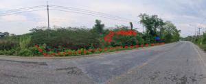 ที่ดินเปล่า แพรววิว เมืองหนองบัวลำภู หนองบัวลำภู