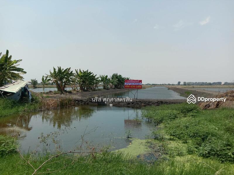 ขายที่ดิน 3ไร่-3งาน-79.4ตร.วา บ้านระกาศ บางบ่อ สมุทรปราการ, Samut Prakan
