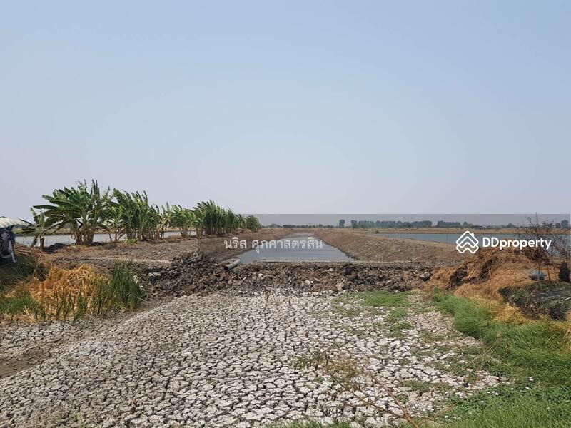 ขายที่ดิน 3ไร่-3งาน-79.4ตร.วา บ้านระกาศ บางบ่อ สมุทรปราการ, Samut Prakan
