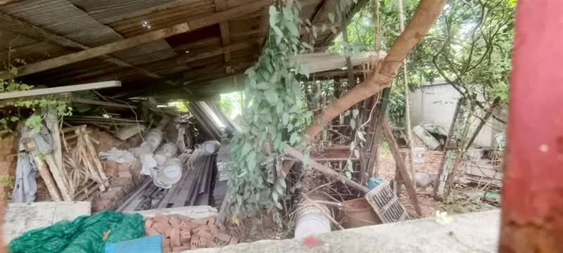 ที่ดินเปล่า 119 ตร.ว. ที่ดิน ใกล้บริษัทเวิร์คพอยท์สตูดิโอ ถนนรังสิต-ปทุมธานี, Pathum Thani
