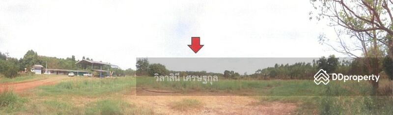 ที่ดิน 27 ไร่ ถ.อ่างเก็บน้ำสียัด-หนองคอก ลาดกระทิง สนามชัยเขต ฉะเชิงเทรา, Chachoengsao