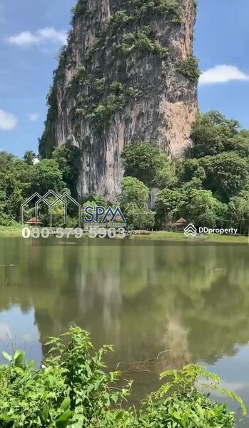 ขายสวนยาง ทุ่งใหญ่ นครศรีธรรมราช, Nakhon Si Thammarat