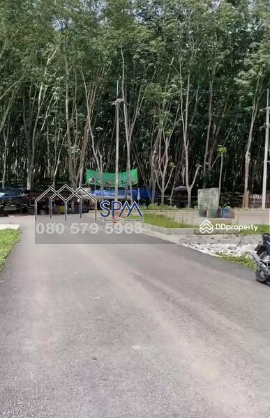ขายสวนยาง ทุ่งใหญ่ นครศรีธรรมราช, Nakhon Si Thammarat