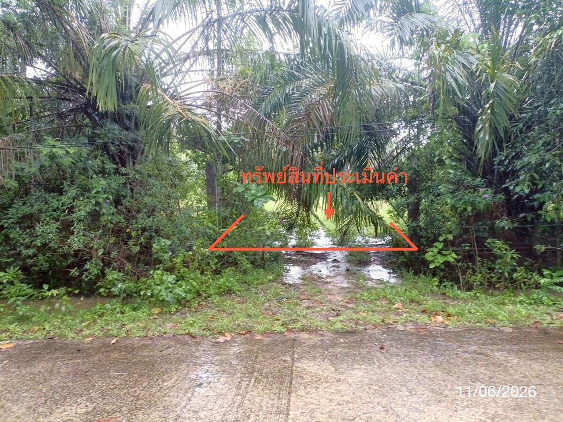 ที่ดินว่างเปล่า ปะเหลียน ตรัง