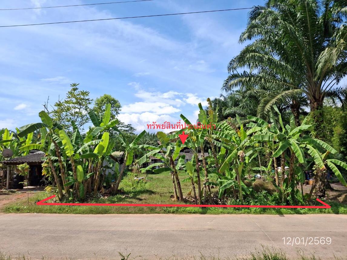 ที่ดินว่างเปล่า จังหวัดกระบี่ เขาพนม