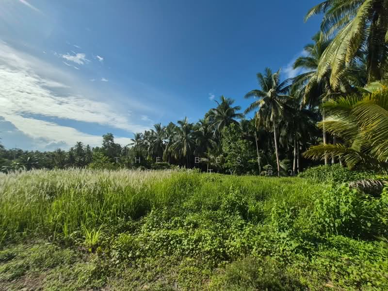ที่ดินบางใบไม้ สุราษฎร์ธานี, Surat Thani