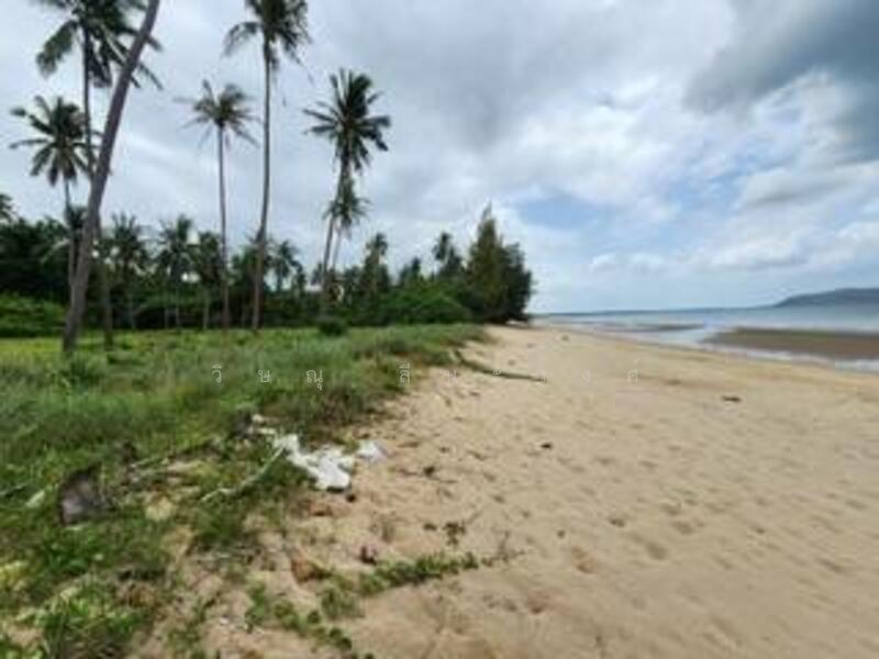 ขายที่ดิน ติดทะเล หาดสวนหลวง ตำบลพงศ์ประศาสน์ บางสะพาน ประจวบคีรีขันธ์ เนื้อที่ 11-1-90 ไร่, Prachuap Khiri Khan
