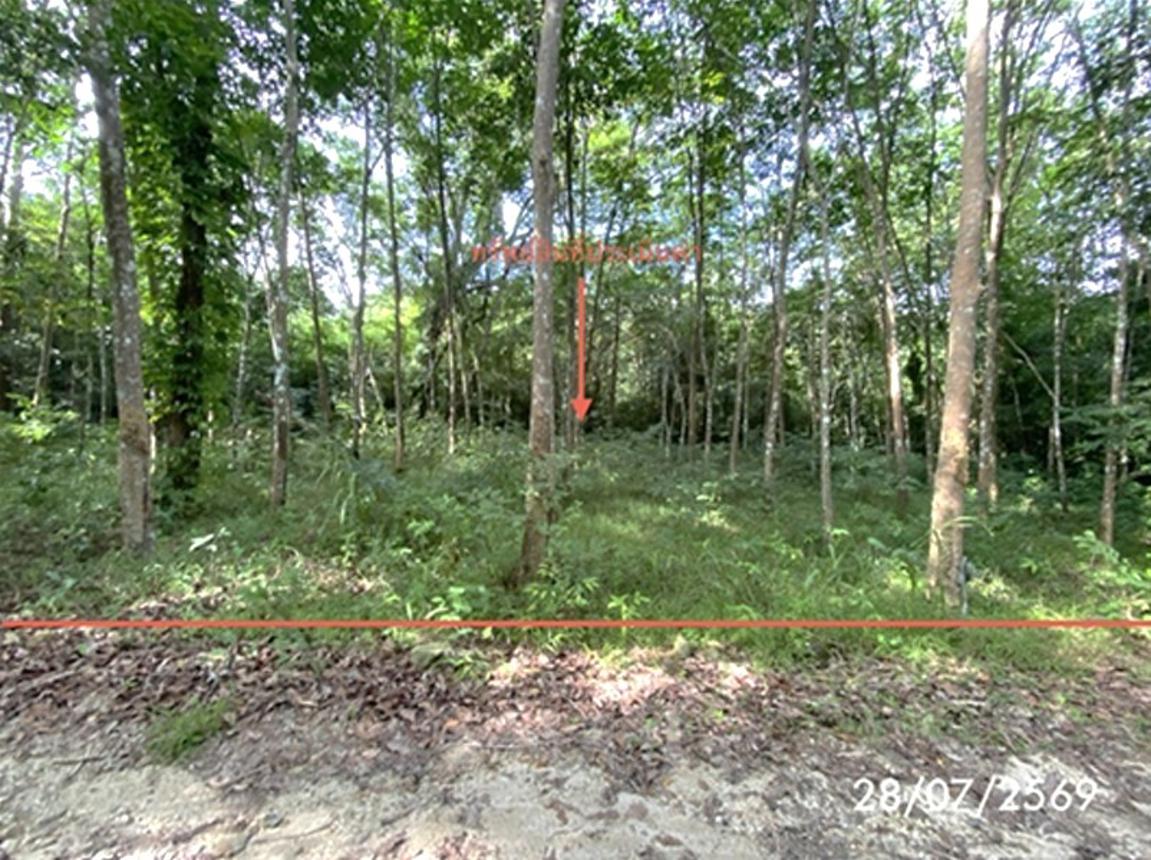 Vacant Land for Sale in Songkhla City, Songkhla Province