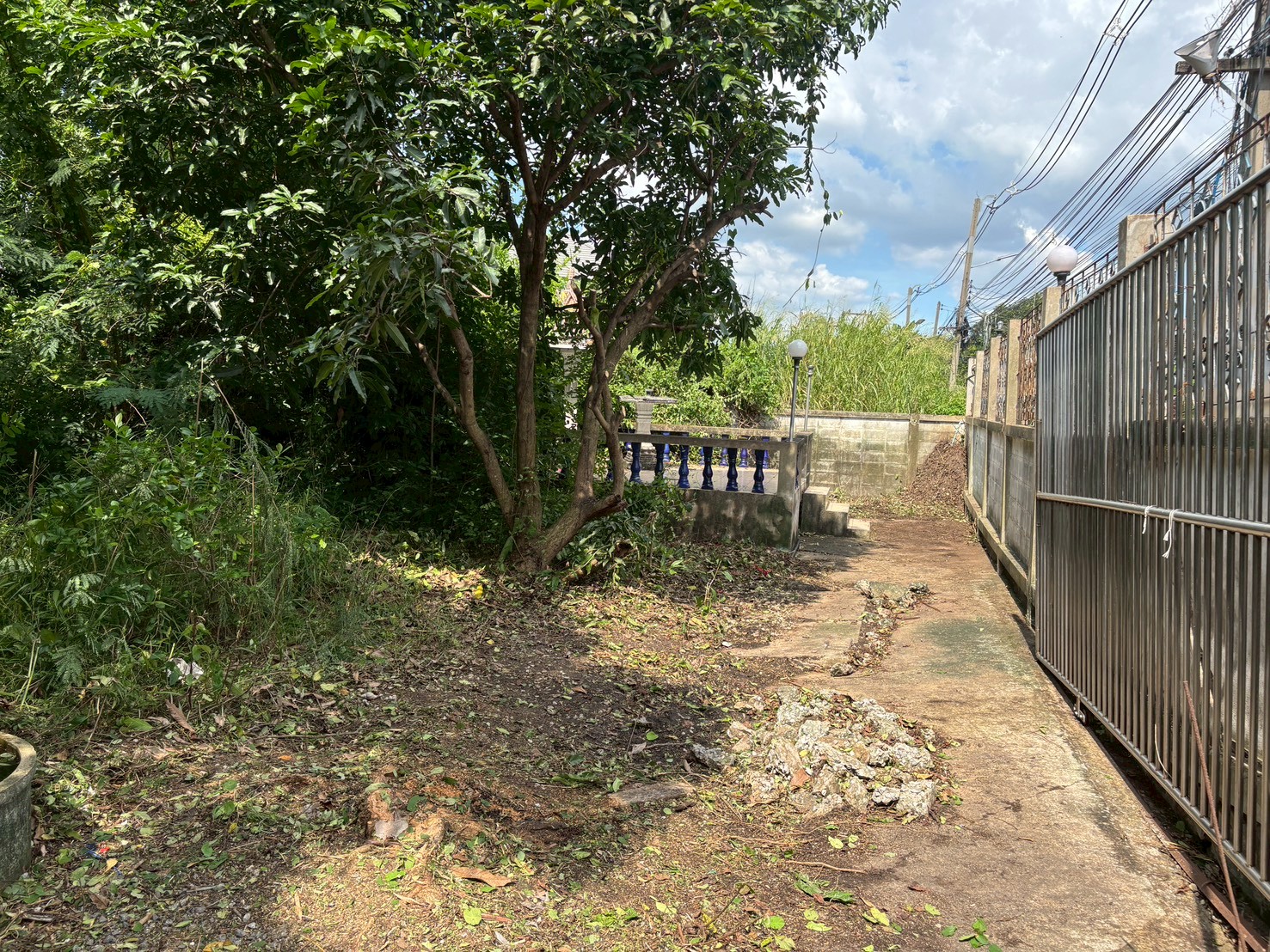 ที่ดินเปล่า ติดถนนท่าลาน - คลองน้ำแล้ง (ใกล้สะพานปทุมธานี 1)