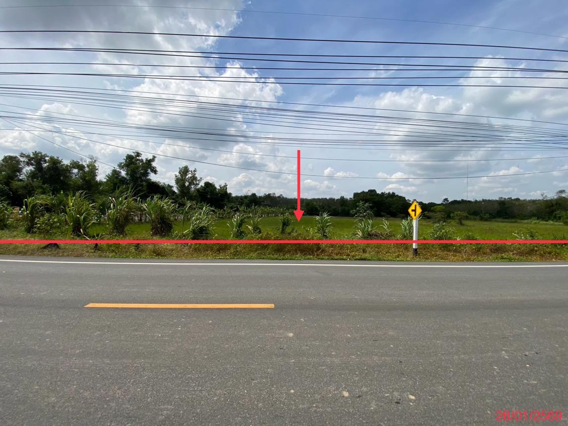 Vacant Land in Khun Khunut, Phatthalung Province