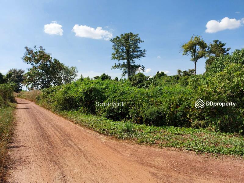 Kamphaengphet land 11 Rai+, Kamphaeng Phet