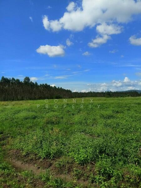 Vacant Land Kabinburi Prajinburi, Prachin Buri