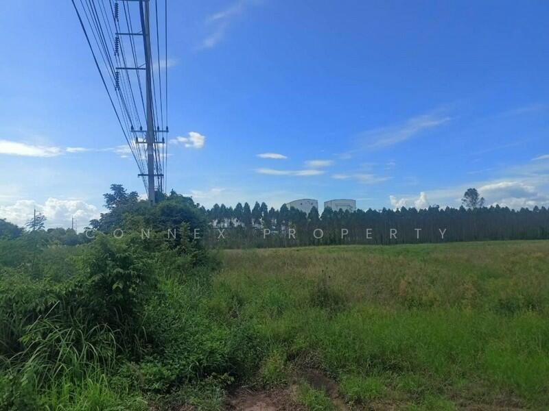 Vacant Land Kabinburi Prajinburi, Prachin Buri