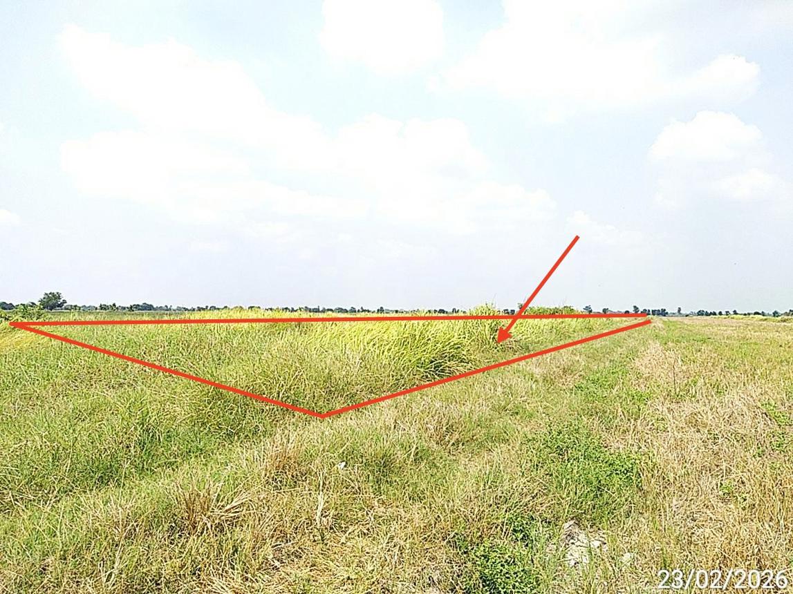 Vacant land, Bang Nuea Phrao, Chachoengsao