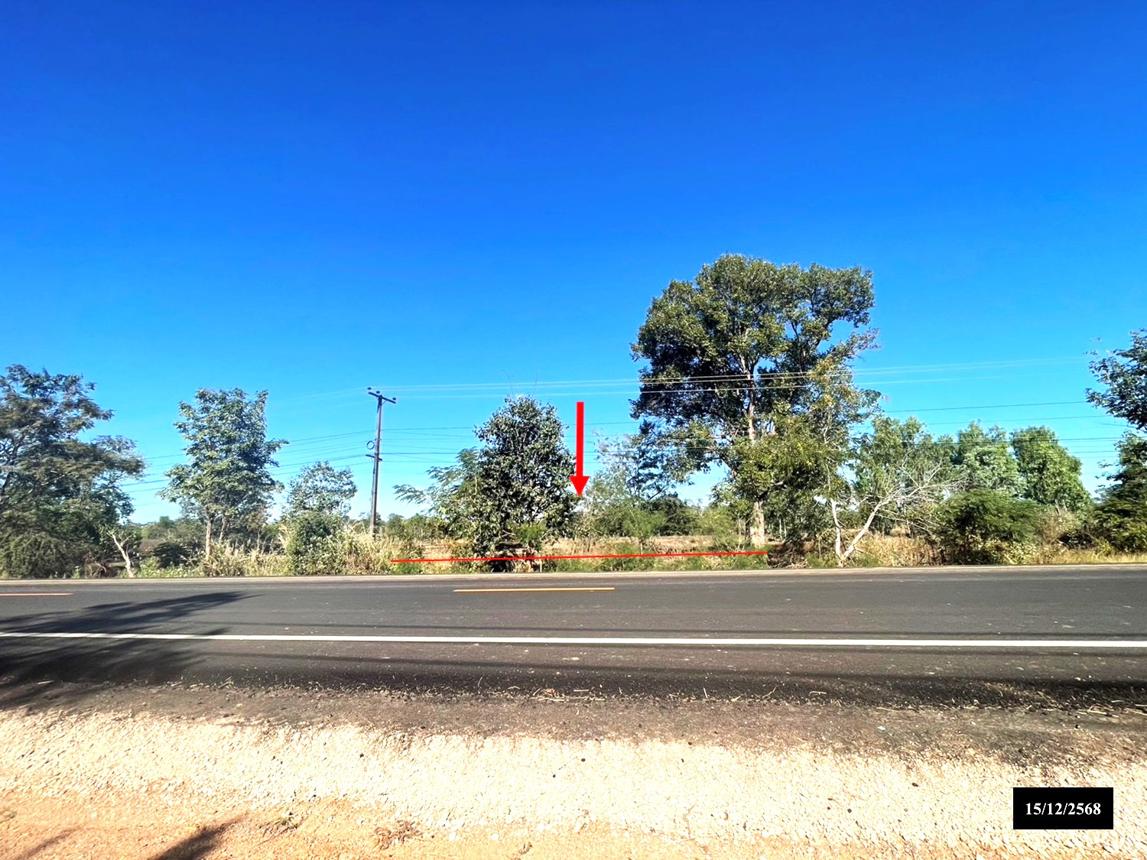 Empty Land in Sri Songkhram, Nakhon Phanom