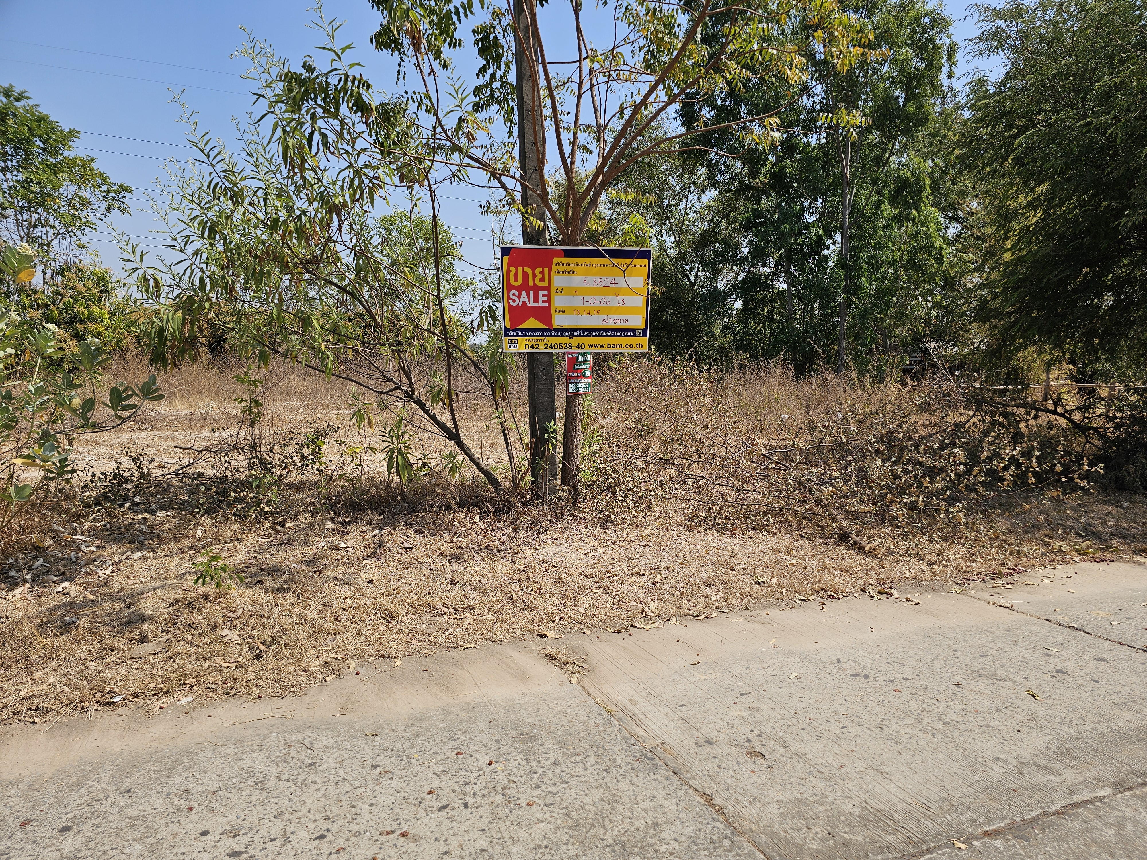 Empty Land in Udon Thani