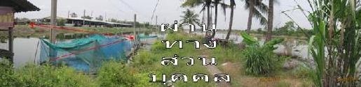 ที่ดินเปล่า คลอง 2 ปทุมธานี