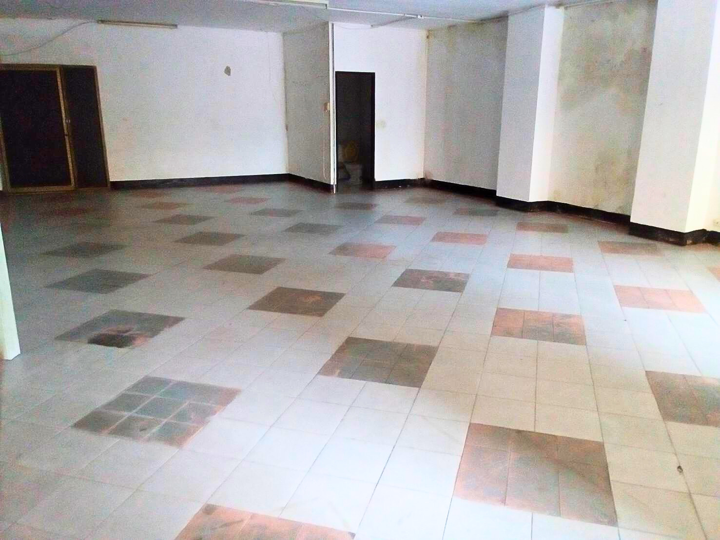 Thepleela Condo Town