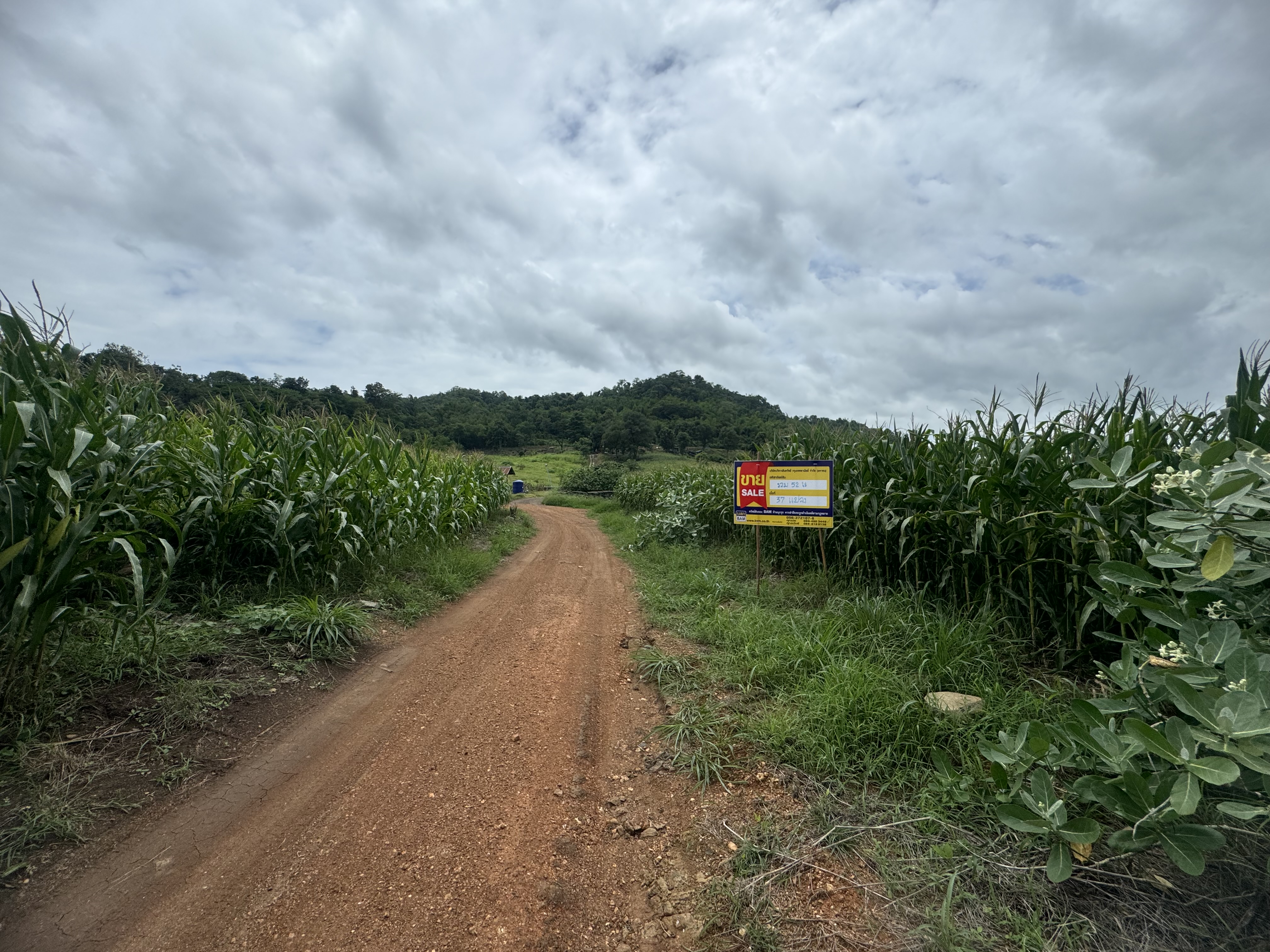 Vacant land in Dream Home Project, Lopburi