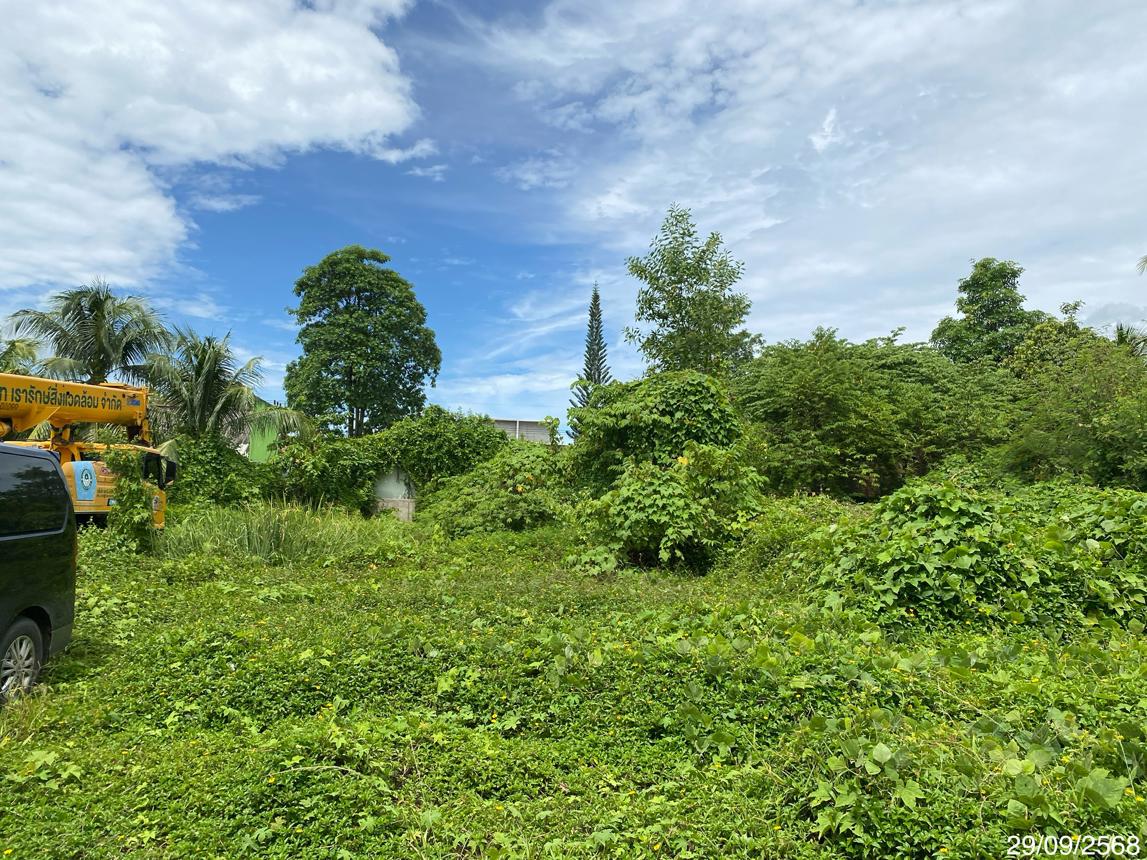 Vacant Land for Sale in Phatthalung Province, Phatthalung