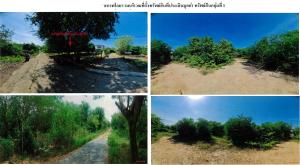 ที่ดินพร้อมสิ่งปลูกสร้าง ลาดหลุมแก้ว จังหวัดปทุมธานี