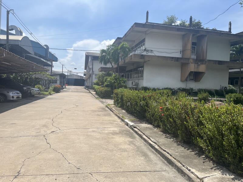 ที่ดิน 41 ไร่ ติดบางนา กม. 17 บางนา บางพลี บางแก้ว บางโฉลง บางนา-ตราด, Samut Prakan