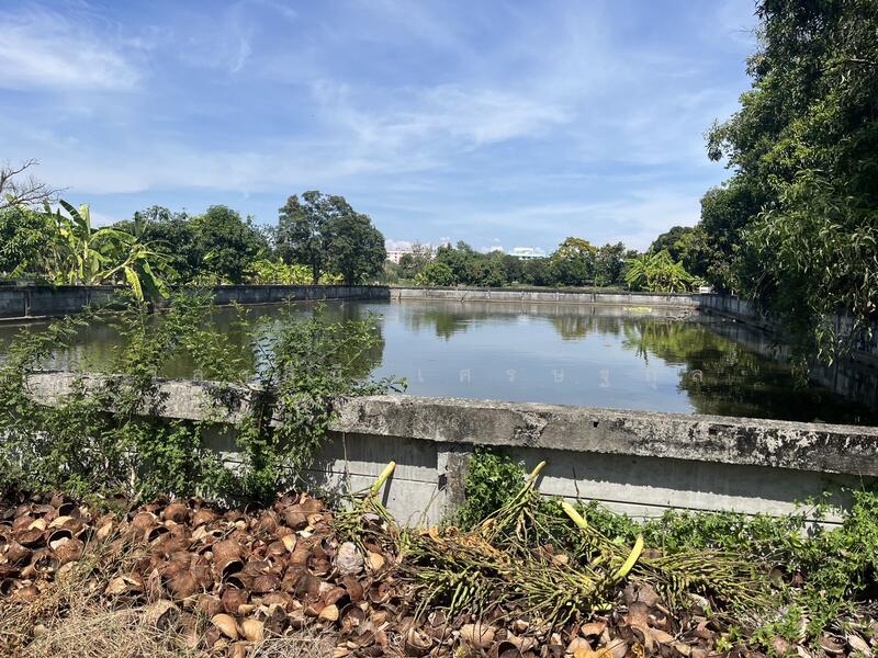 ที่ดิน 41 ไร่ ติดบางนา กม. 17 บางนา บางพลี บางแก้ว บางโฉลง บางนา-ตราด, Samut Prakan