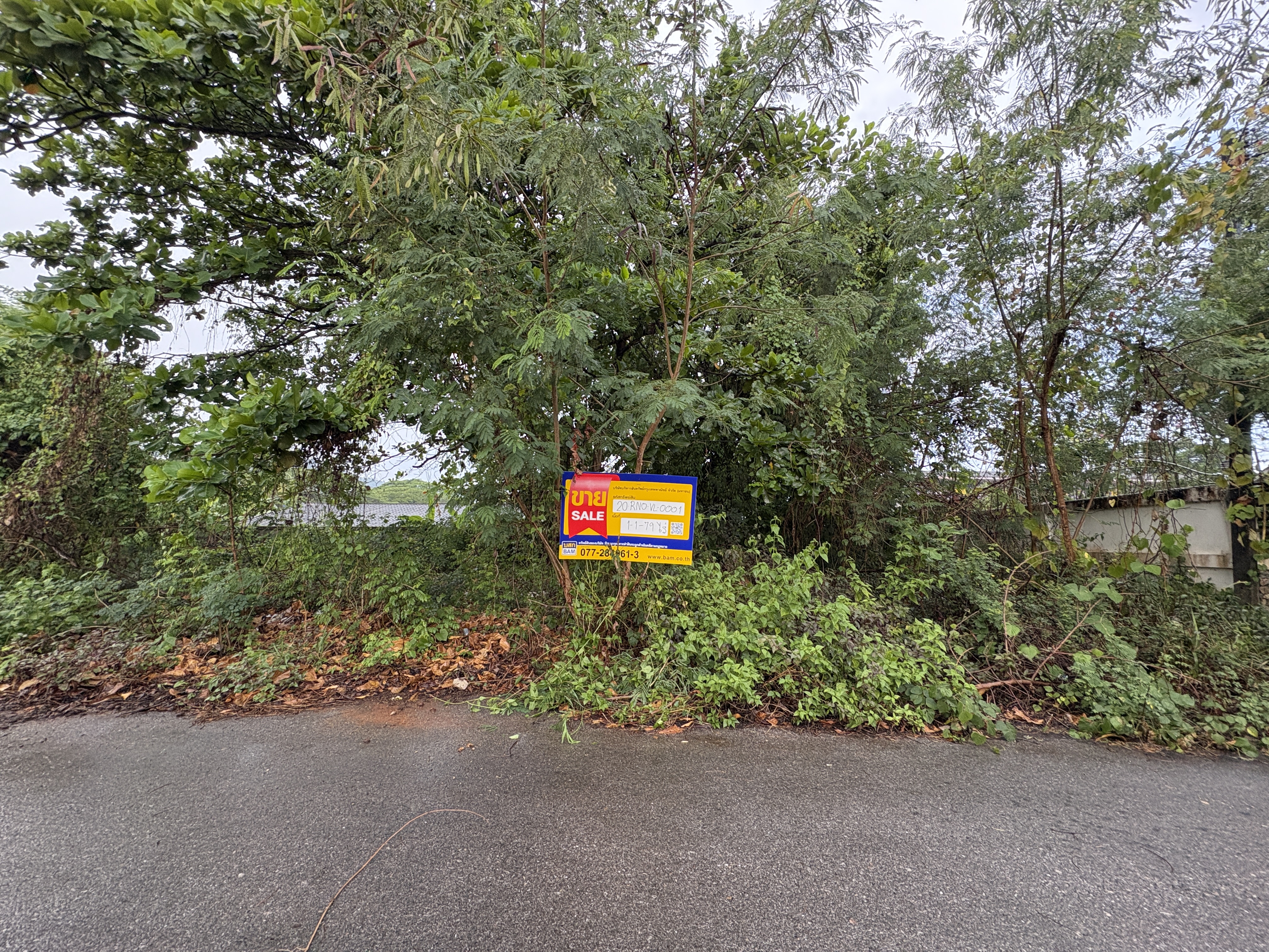 Empty land, Ranong Village Project