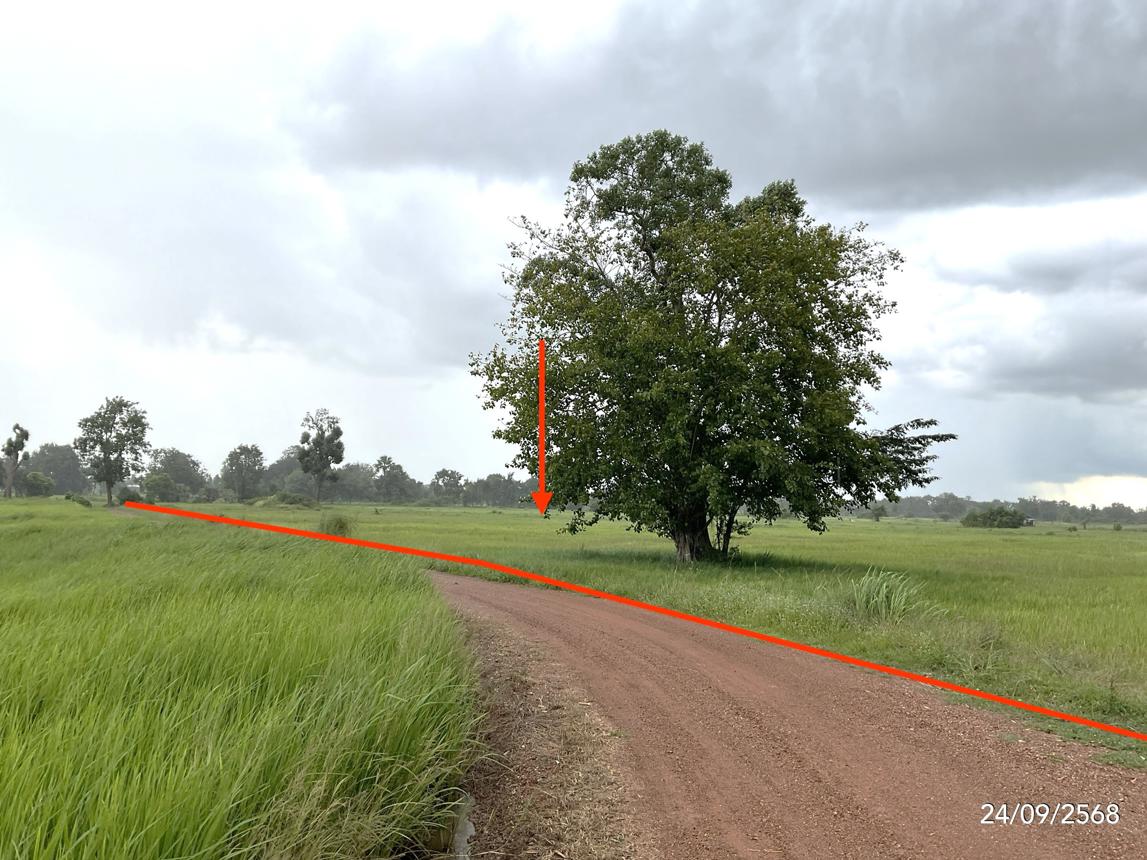Vacant Land in Wang Nam Khiao, Sa Kaeo