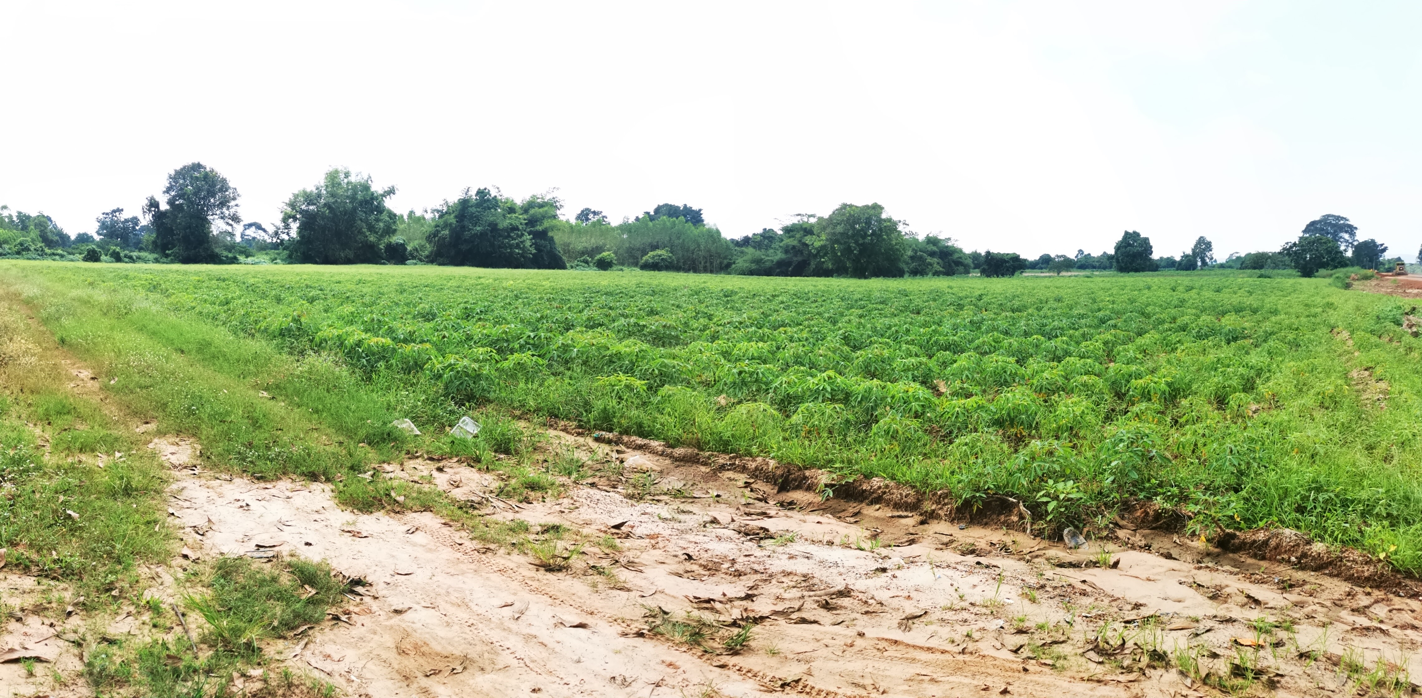1-Plot of Vacant Land