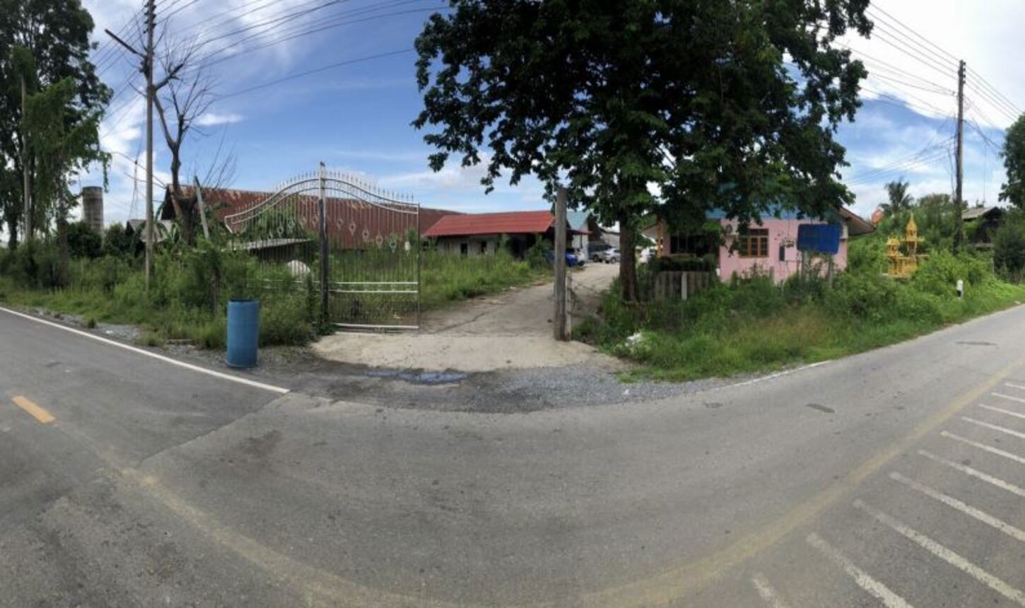 ฟาร์มเมืองนครปฐม นครปฐม (Farmland in Nakhon Pathom, Nakhon Pathom)