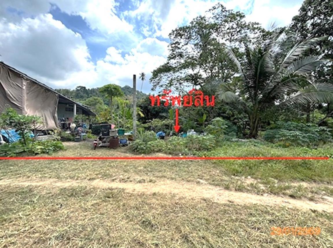 Vacant Land, Koh Samui, Surat Thani Province