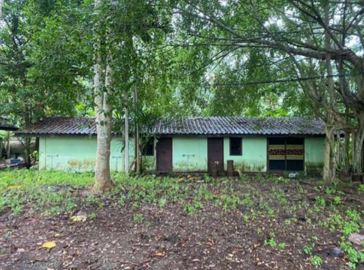 บ้านเดี่ยว บ้านตาขุน สุราษฎร์ธานี